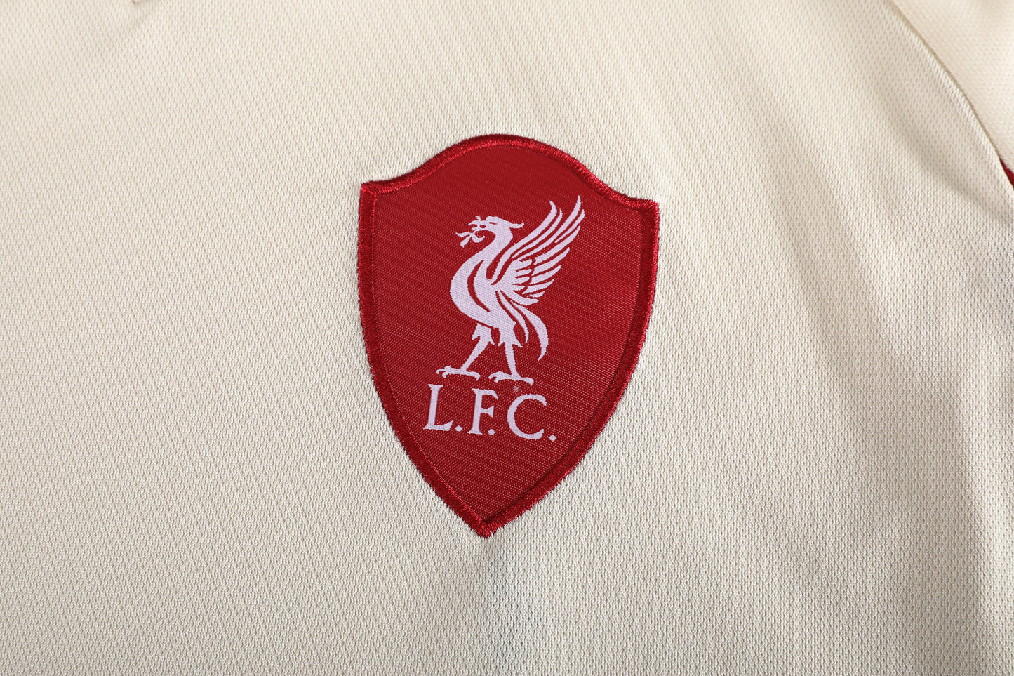 Barn/Vuxen - Liverpool FC 25/26 Bortatröja